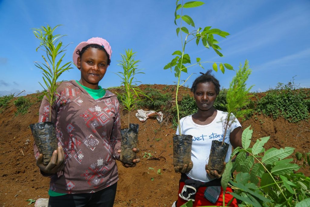 Tree Planting Campaign Uganda